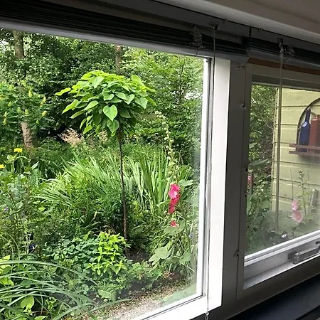Bed & Breakfast Beemster Tiny House 3*