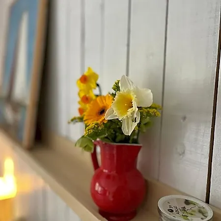 Beemster Tiny House Bed & Breakfast