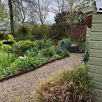 Bed and breakfast Beemster Tiny House 3*