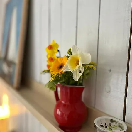 Beemster Tiny House Alojamento de Acomodação e Pequeno-almoço 3*