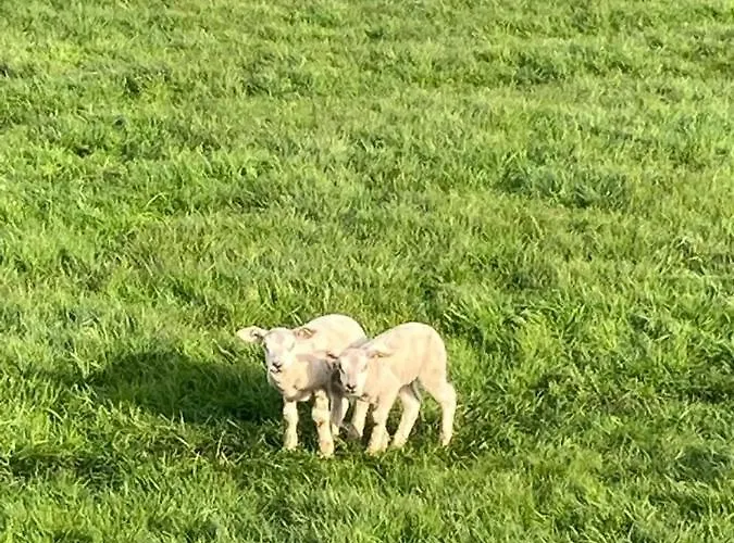 Beemster Tiny House Bed & Breakfast Zuidoostbeemster