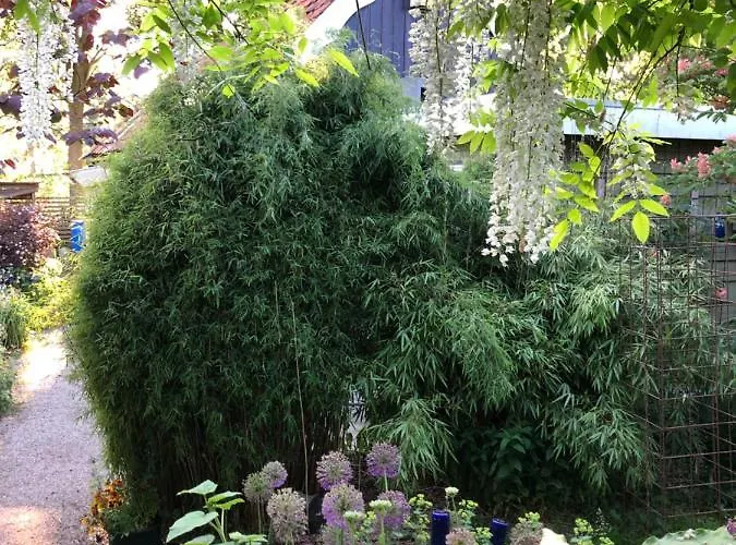 Beemster Tiny House Zuidoostbeemster