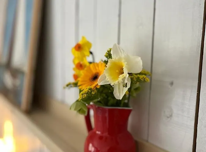 Beemster Tiny House Bed & Breakfast 3*